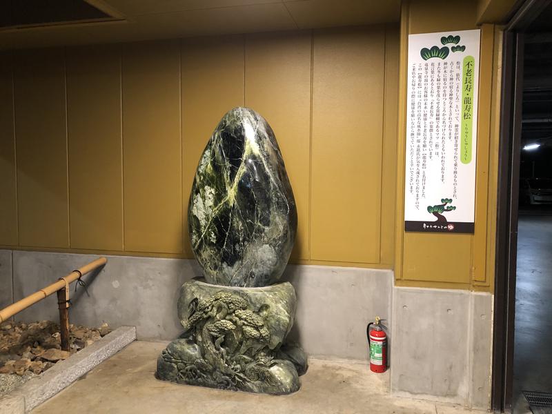 つむぐさんの横濱スパヒルズ 竜泉寺の湯のサ活写真