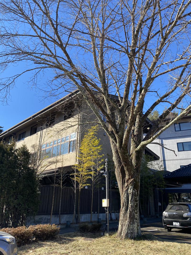 ♨️ちくりん♨️さんの河口湖 ホテル 桜庵のサ活写真