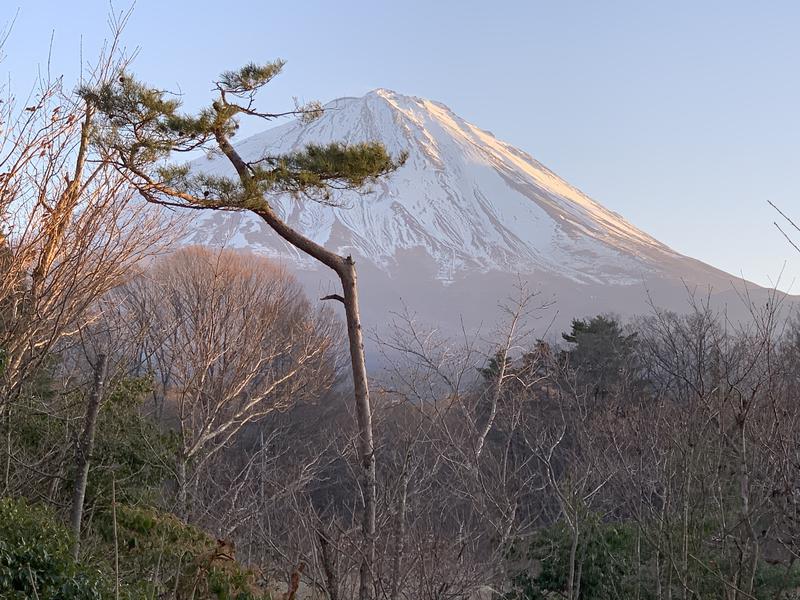 風間悟さんの富士眺望の湯 ゆらりのサ活写真