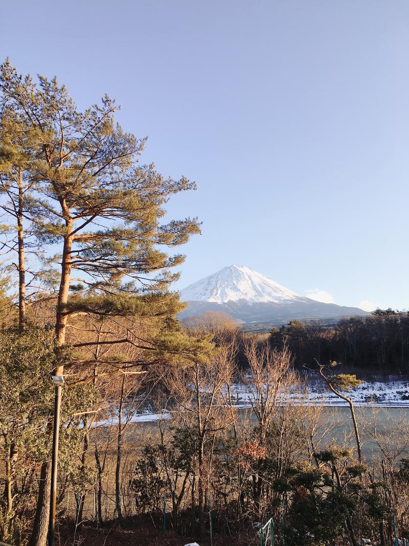 七味さんの富士眺望の湯 ゆらりのサ活写真