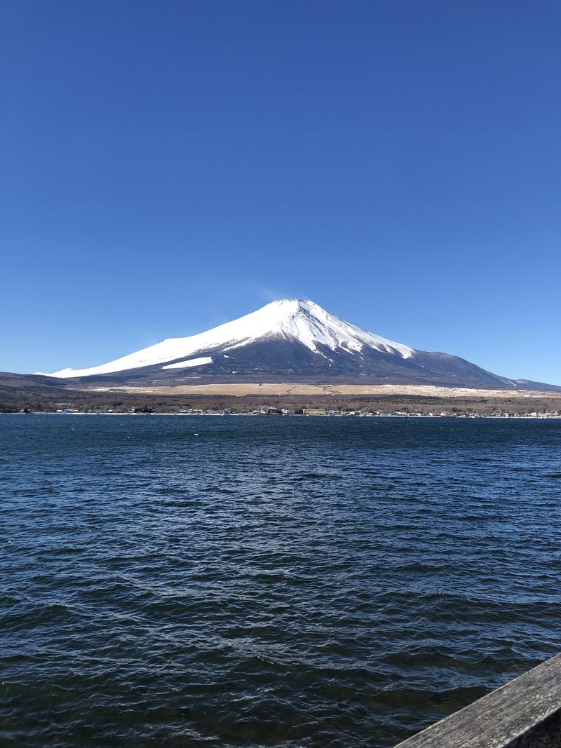 白14(しらいし)さんの富士眺望の湯 ゆらりのサ活写真