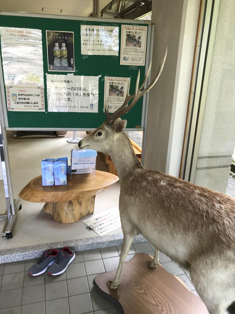 r411キャロルター坊さんの清川村ふれあいセンター 別所の湯のサ活写真