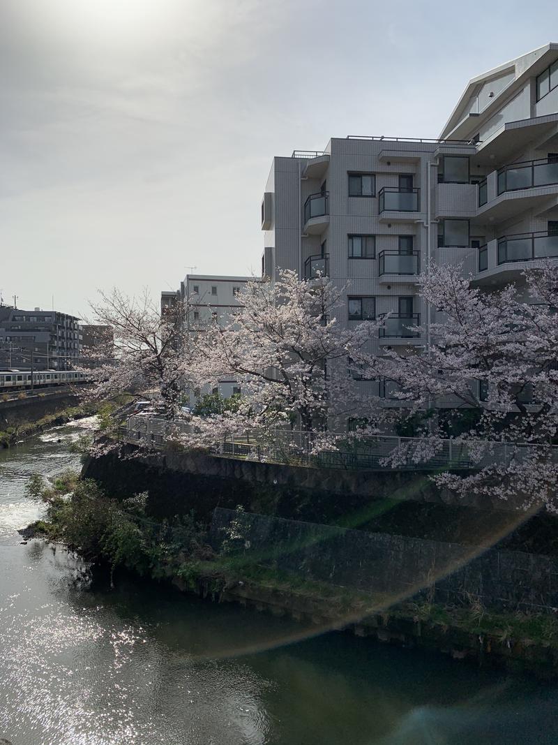 トマトクラブさんの天然温泉 満天の湯のサ活写真