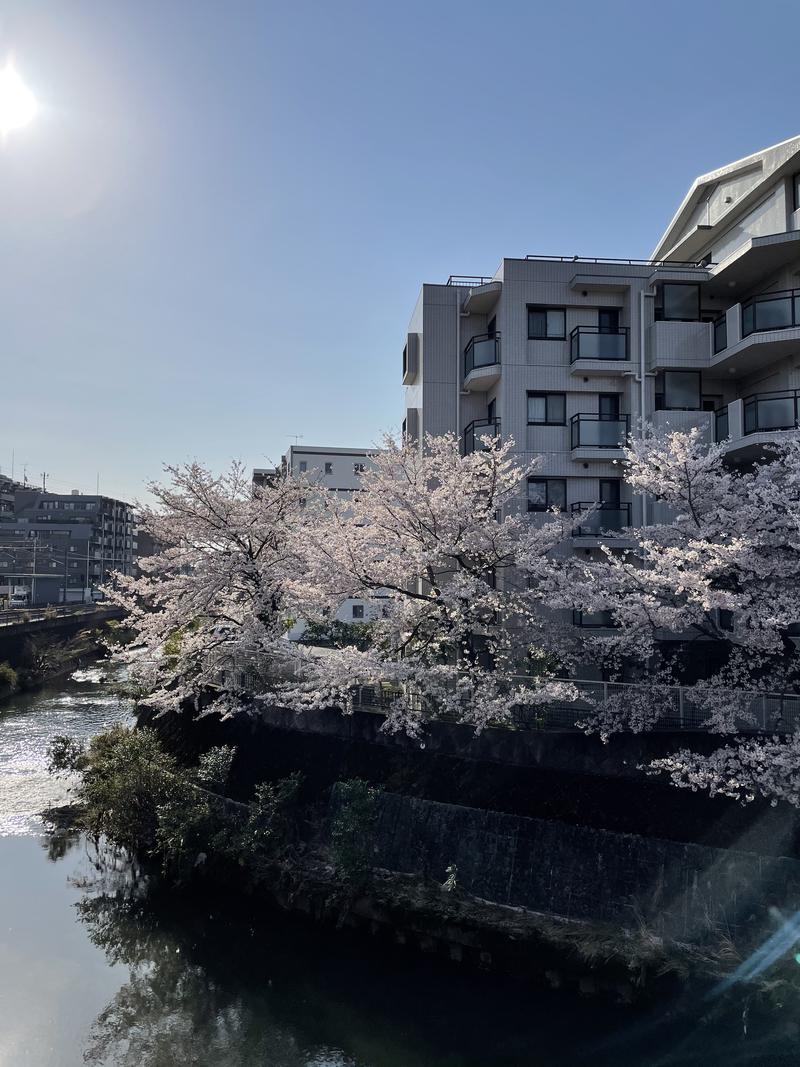 さうなっ子さんの天然温泉 満天の湯のサ活写真