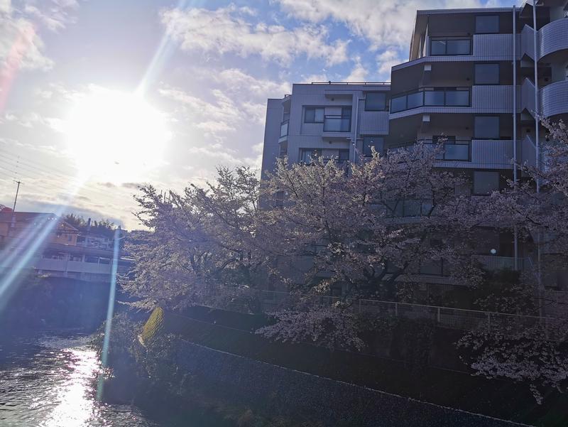 Saunazukiさんの天然温泉 満天の湯のサ活写真