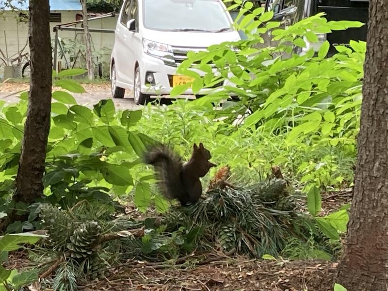 蒸し達磨くんさんのホテル大平原のサ活写真