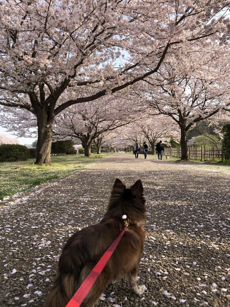 francisca(シスカ)さんのスカイスパYOKOHAMAのサ活写真