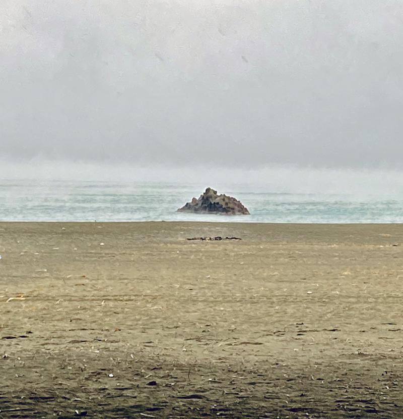 ムーミンママさんの湘南台温泉 らくのサ活写真