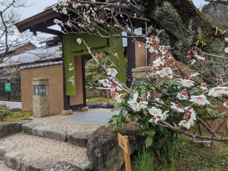 粗塩さんの天然温泉 三峰のサ活写真