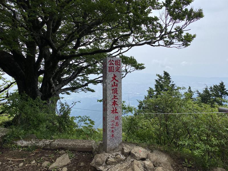 小籠包さんの秦野天然温泉 さざんかのサ活写真