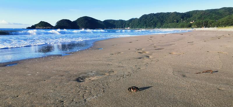 Saunazukiさんのはだの・湯河原温泉 万葉の湯のサ活写真