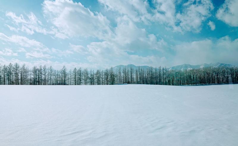 せきのこさんの森のスパリゾート 北海道ホテルのサ活写真