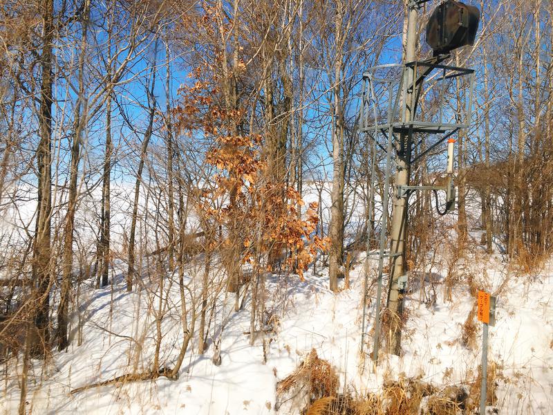 七味さんの森のスパリゾート 北海道ホテルのサ活写真