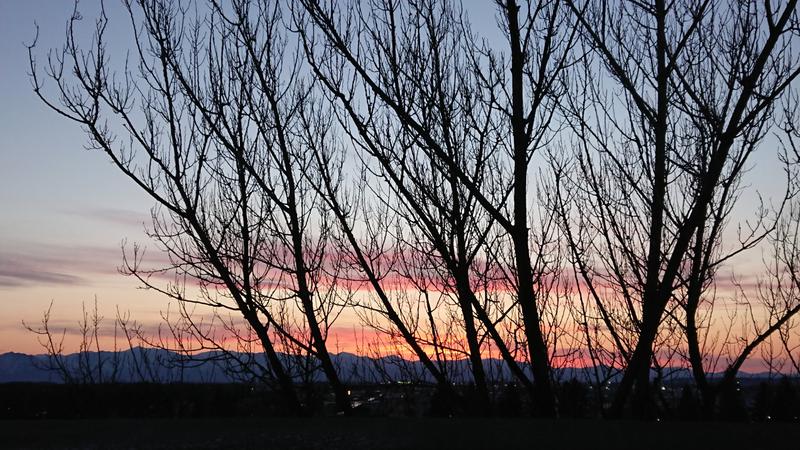 ハナコーレさんの森のスパリゾート 北海道ホテルのサ活写真