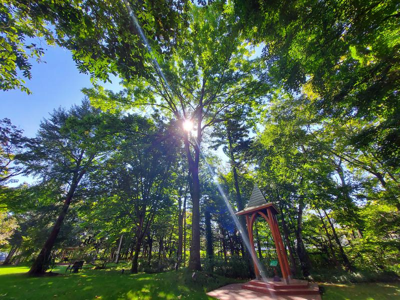 蒸漢さんの森のスパリゾート 北海道ホテルのサ活写真