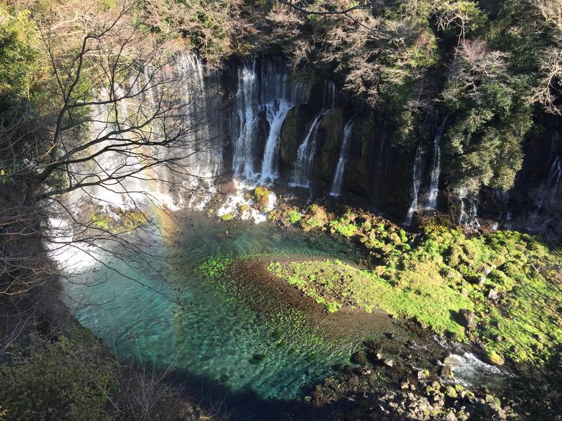 やきとりおさんの風の湯のサ活写真