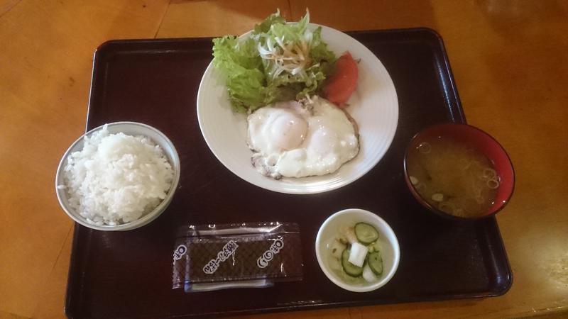 むっていさんの湘南ひらつか太古の湯グリーンサウナのサ活写真