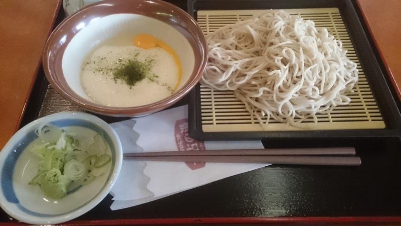 むっていさんの湘南ひらつか太古の湯グリーンサウナのサ活写真