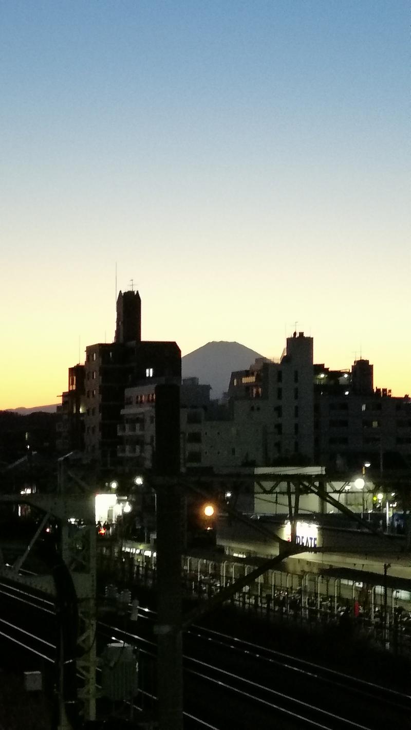 だいさんの湘南ひらつか太古の湯グリーンサウナのサ活写真