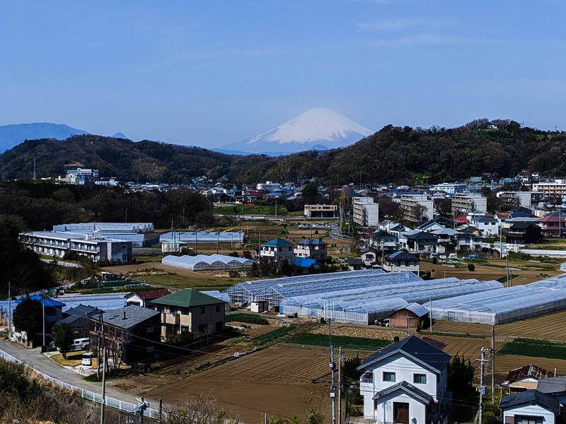 Mさんの大磯プリンスホテル THERMAL SPA S.WAVEのサ活写真