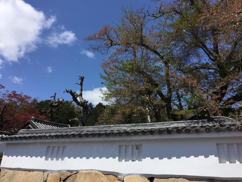 やまちゃんさんの福知山温泉 養老の湯のサ活写真