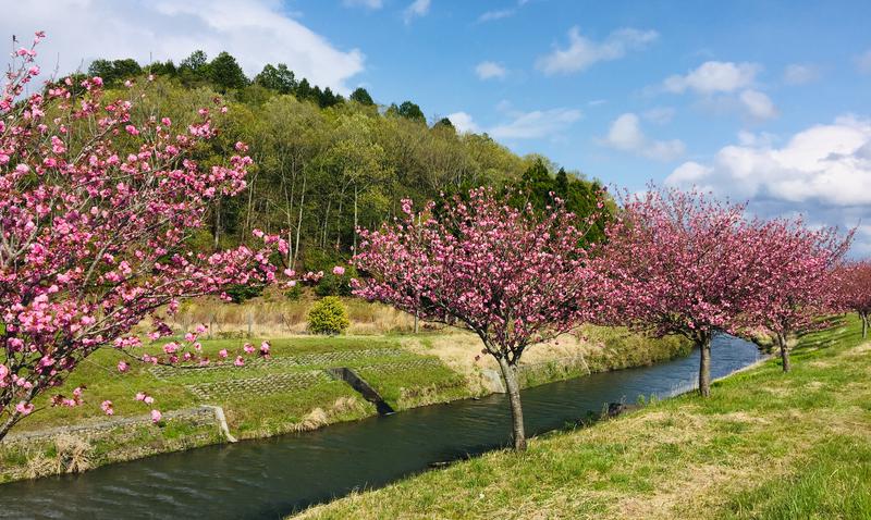 やまちゃんさんの福知山温泉 養老の湯のサ活写真