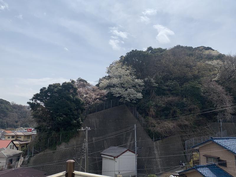 ごるしさんの佐野天然温泉 湯処 のぼり雲のサ活写真