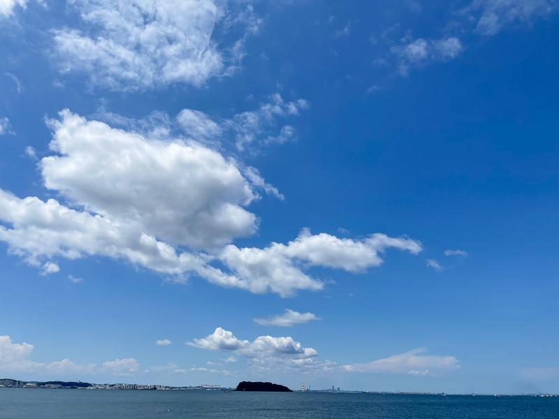 ねこだってサウナいきたいさんの横須賀温泉 湯楽の里のサ活写真