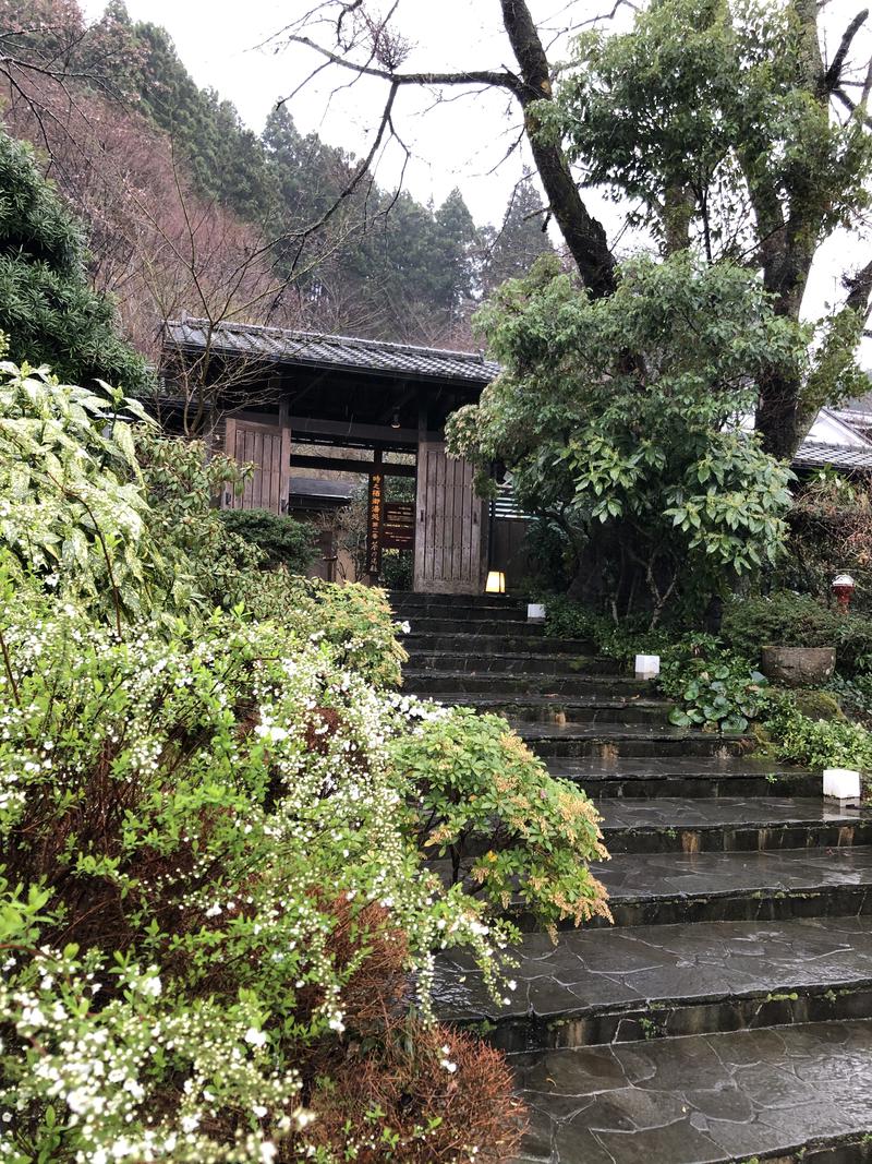 がちゃさんの御殿場高原 天然温泉 茶目湯殿のサ活写真