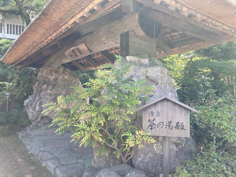 よへさんの御殿場高原 天然温泉 茶目湯殿のサ活写真