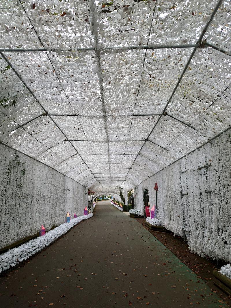 自由な旅人さんの天然温泉 気楽坊 (御殿場時之栖内)のサ活写真