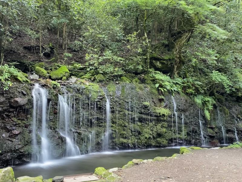 小籠包さんの箱根湯寮のサ活写真