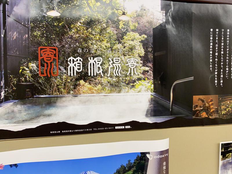 スパたろう🌱さんの箱根湯寮のサ活写真