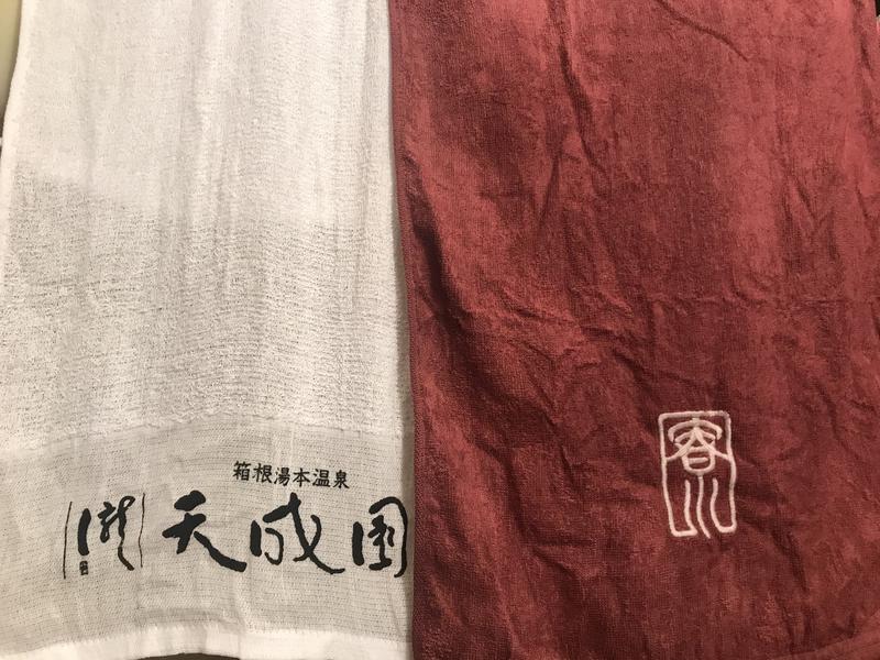 おさやさんの箱根湯本温泉 天成園のサ活写真