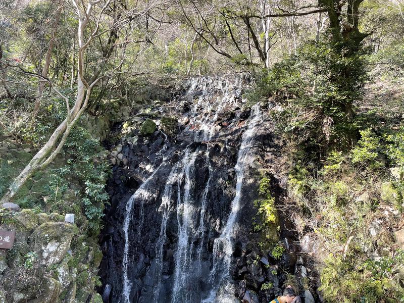 Takuyaさんの箱根湯本温泉 天成園のサ活写真