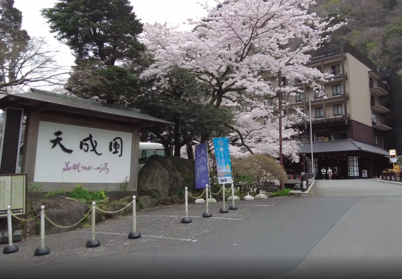 サウナに一直線さんの箱根湯本温泉 天成園のサ活写真