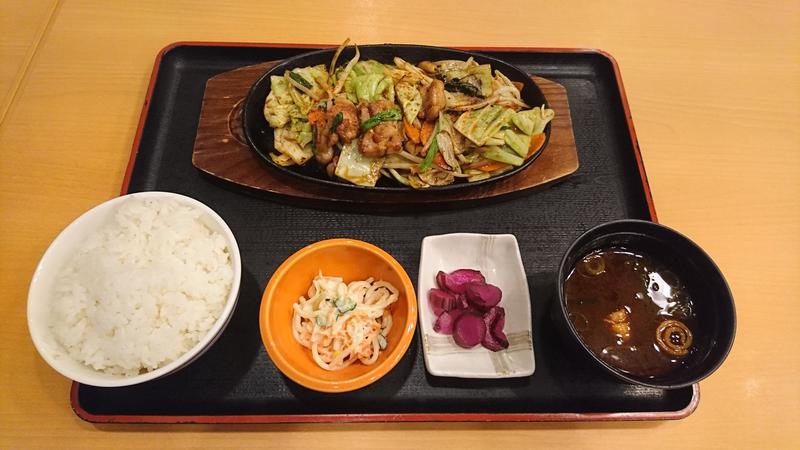 サ飯に夢中♪さんの稲沢ぽかぽか温泉のサ活写真