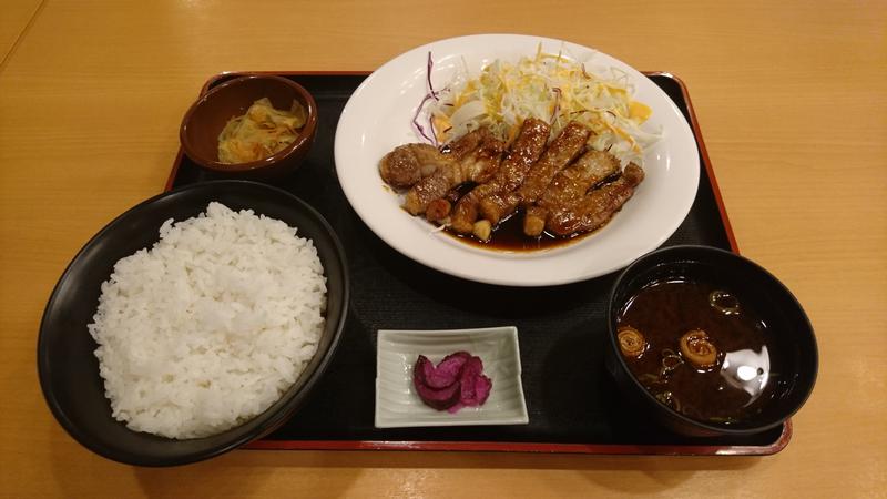 サ飯に夢中♪さんの稲沢ぽかぽか温泉のサ活写真