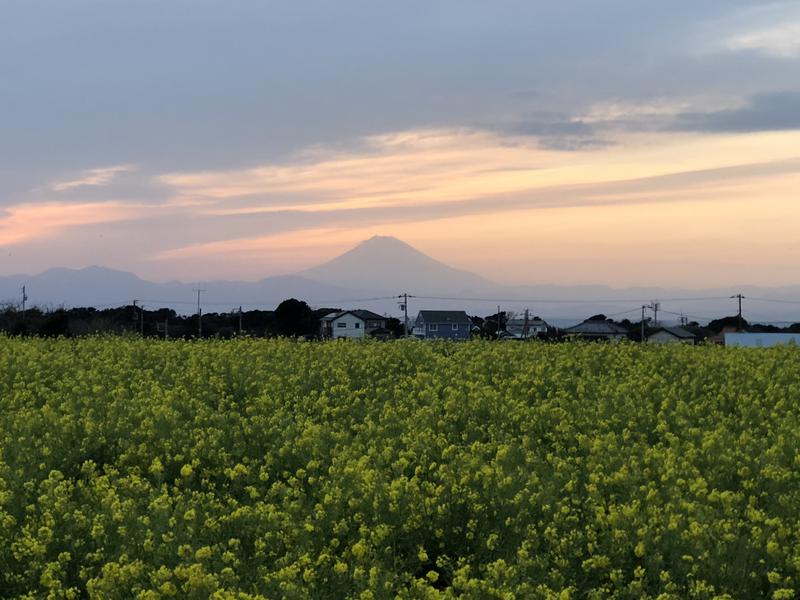 いまうしさんの海と夕日の湯のサ活写真