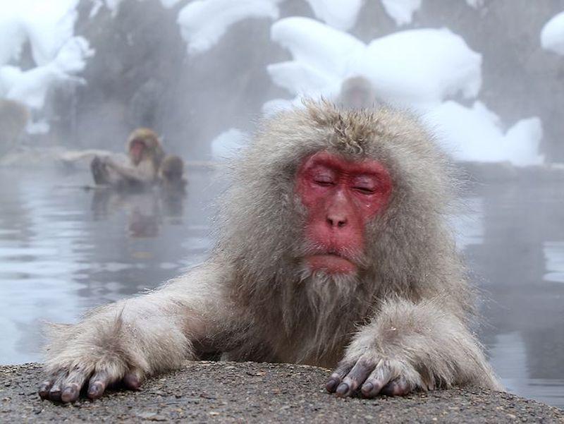 小雨さんの大曽根温泉 湯の城のサ活写真