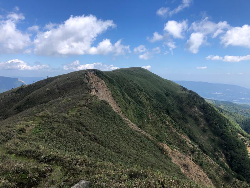 Daisuke.Tさんの阿下喜温泉あじさいの里のサ活写真