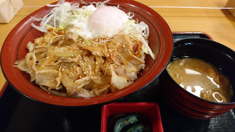 サ飯に夢中♪さんの天然温泉コロナの湯 中川店のサ活写真