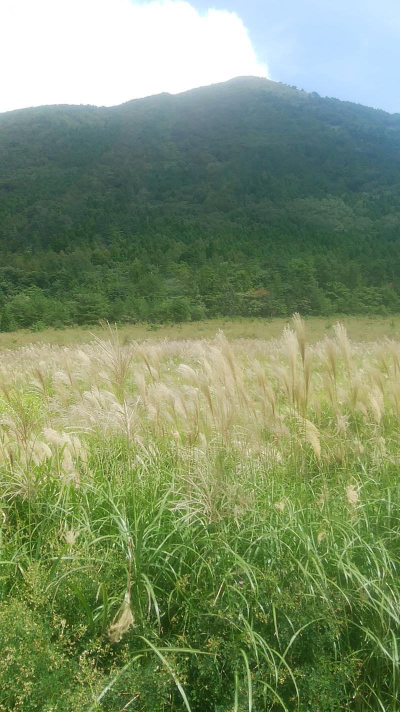 ケーシーさんの三瓶温泉 国民宿舎 さんべ荘のサ活写真