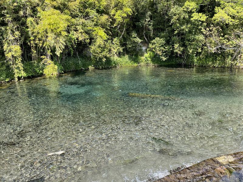 123＊nさんの極楽湯 三島店のサ活写真