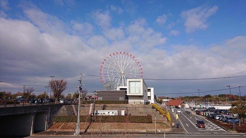 えーすすたーさんの天然温泉 かきつばたのサ活写真