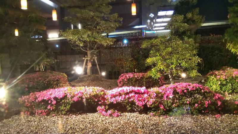 日々のサウナさんの有松温泉 喜多の湯のサ活写真
