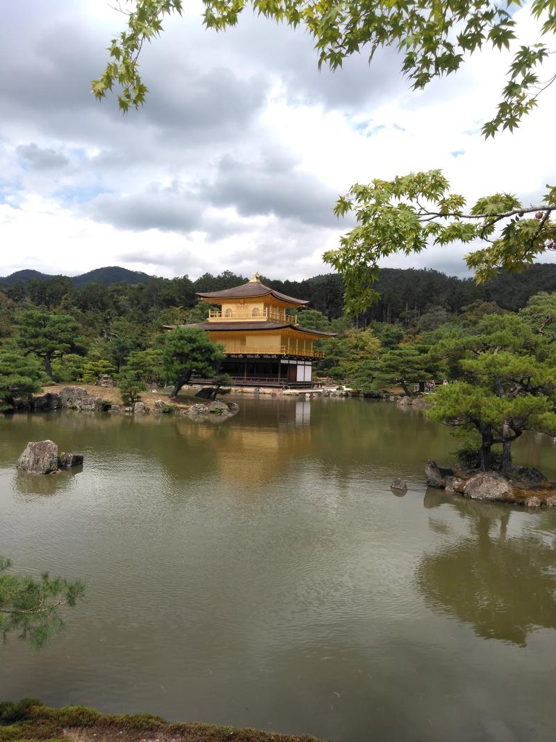 みかん　自粛中さんの金閣寺湯のサ活写真