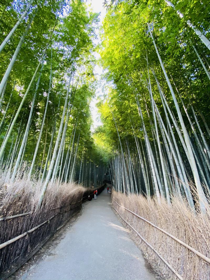 やまピー監督さんのさがの温泉 天山の湯のサ活写真