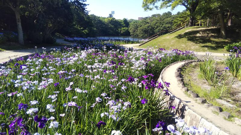 日々のサウナさんの天然温泉 丸屋玉ノ湯のサ活写真