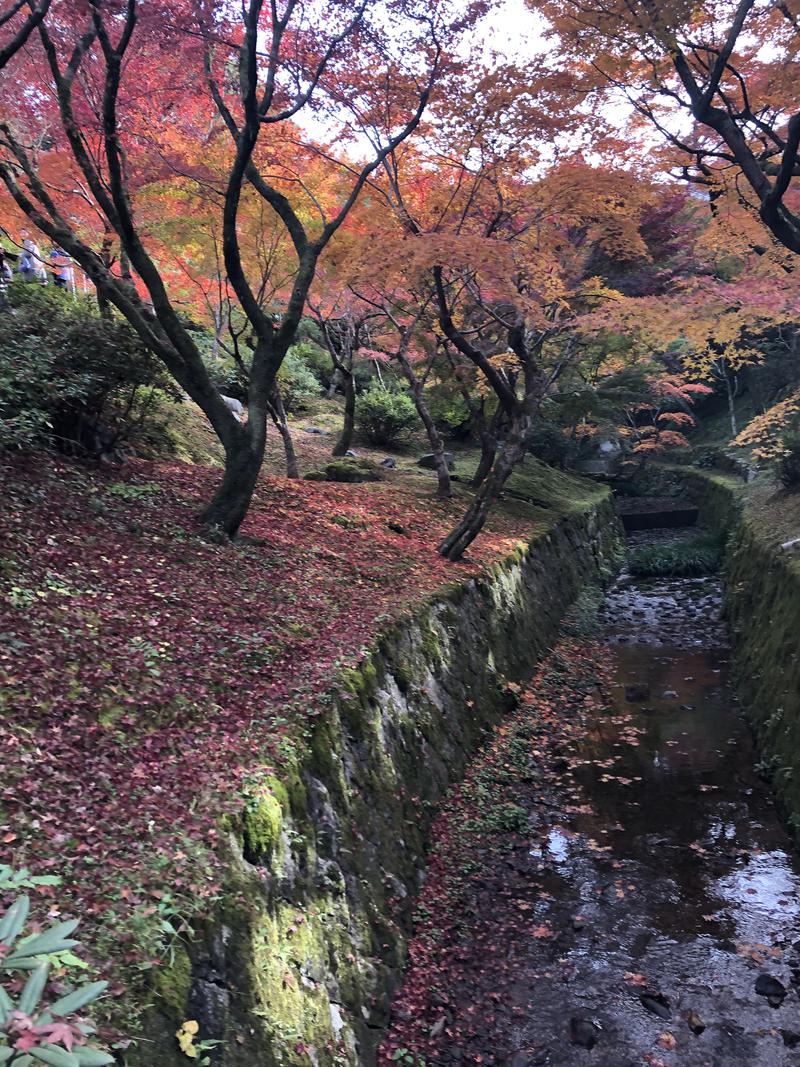 Kenさんさんの白山湯 高辻店のサ活写真